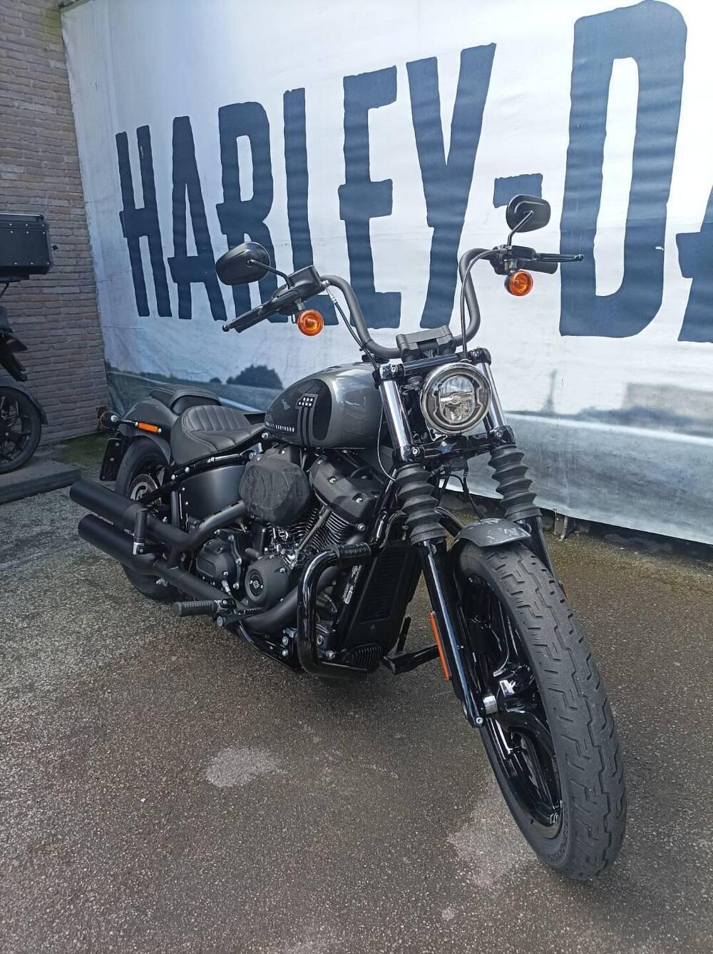 Harley-Davidson Street Bob 114 (2021 - 24) (2)