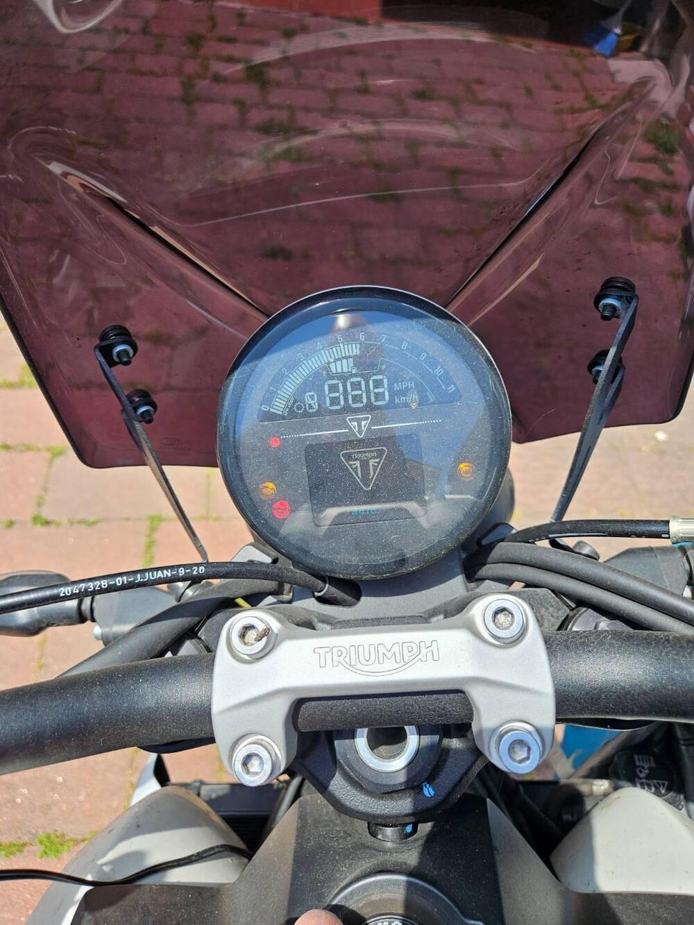 Triumph Trident 660 (2021 - 24) (5)