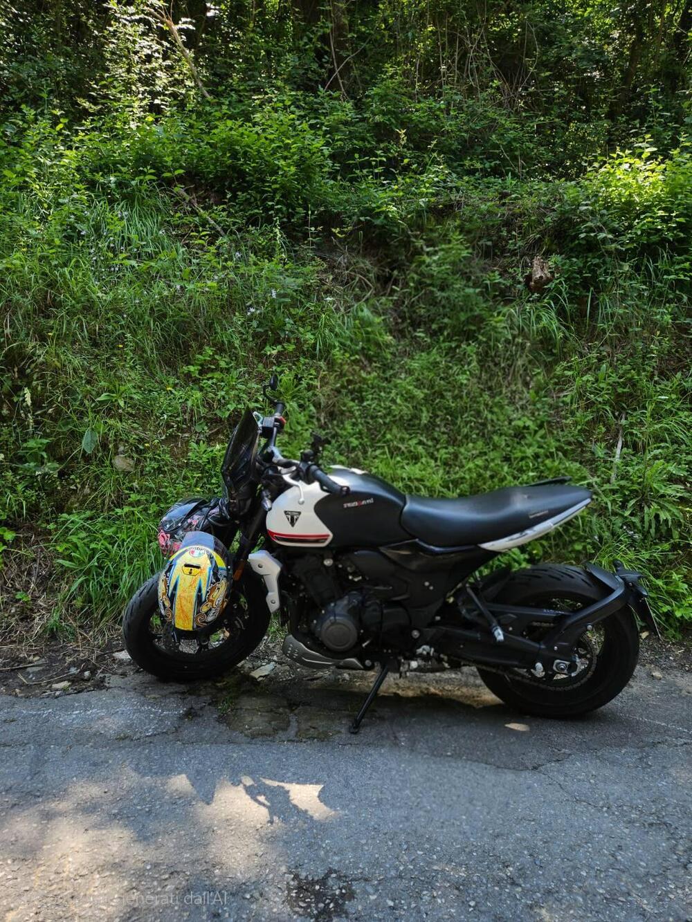 Triumph Trident 660 (2021 - 24) (6)