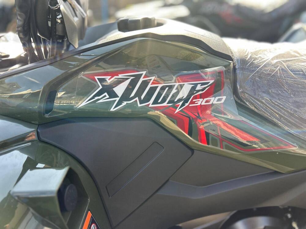 Loncin XWOLF 300 (2025) (7)