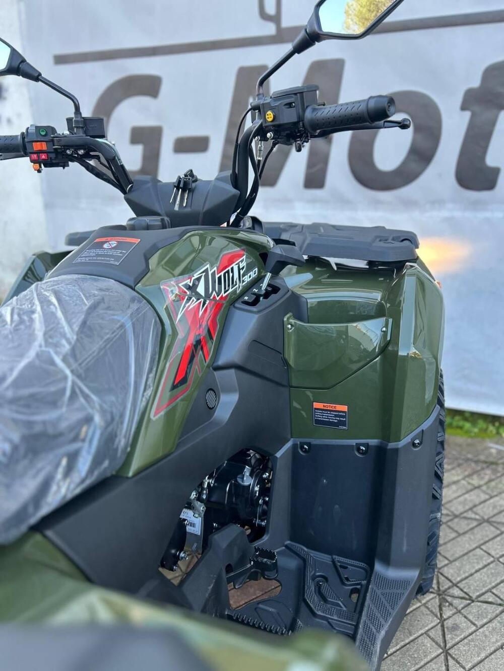 Loncin XWOLF 300 (2025) (10)