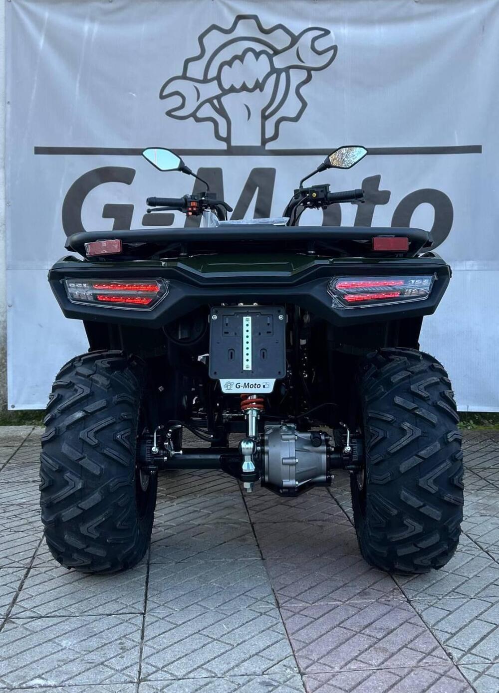 Loncin XWOLF 300 (2025) (3)