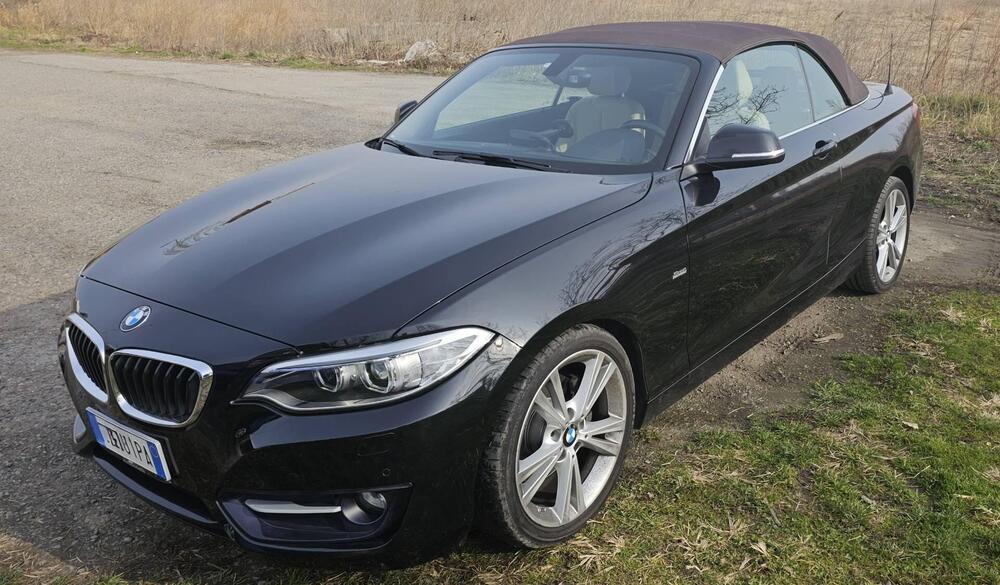 BMW Serie 2 Cabrio usata a Torino (5)
