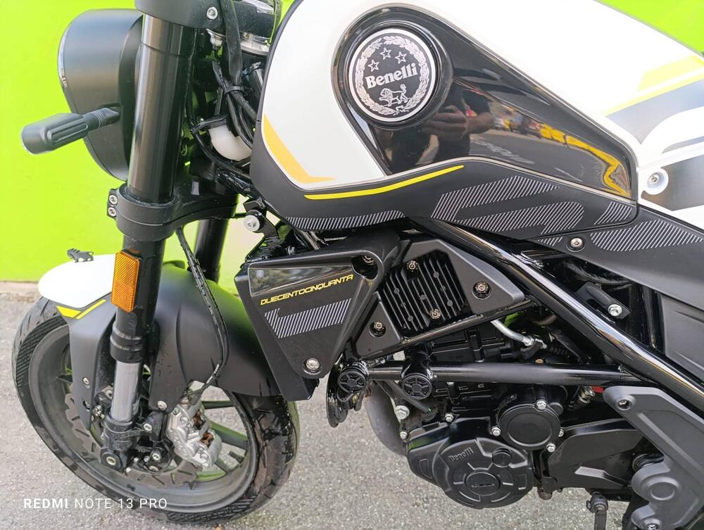 Benelli Leoncino 250 (2021 - 25) (6)