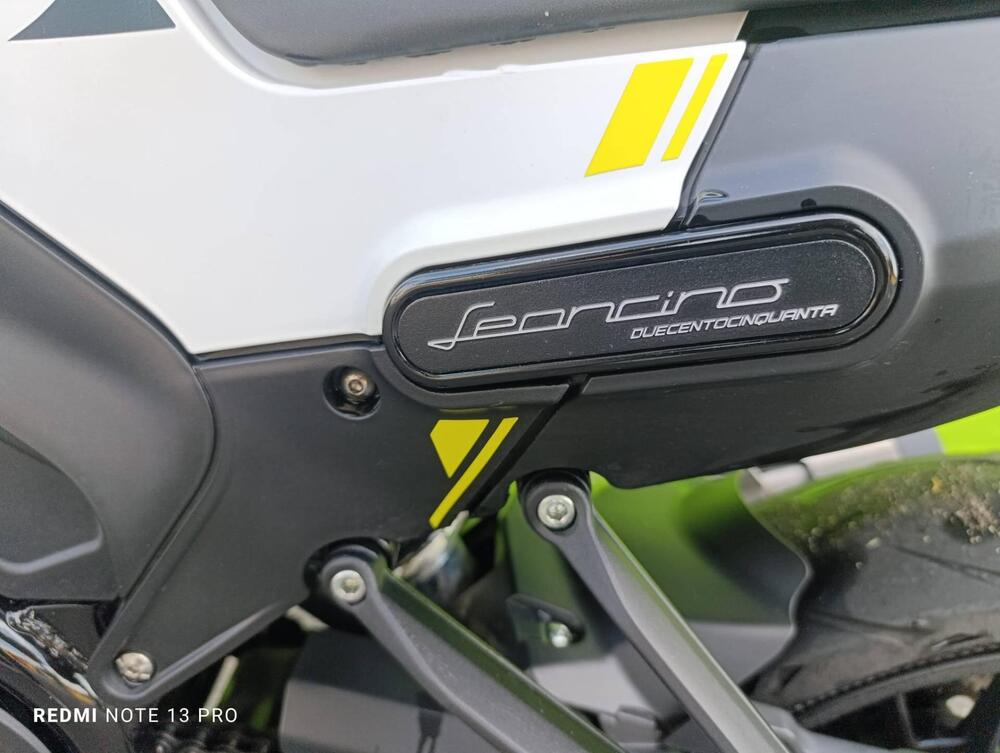 Benelli Leoncino 250 (2021 - 25) (7)