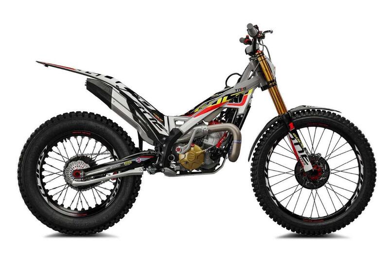 TRS Motorcycles One 300 One 300 Gold Edition AE (2025) (2)