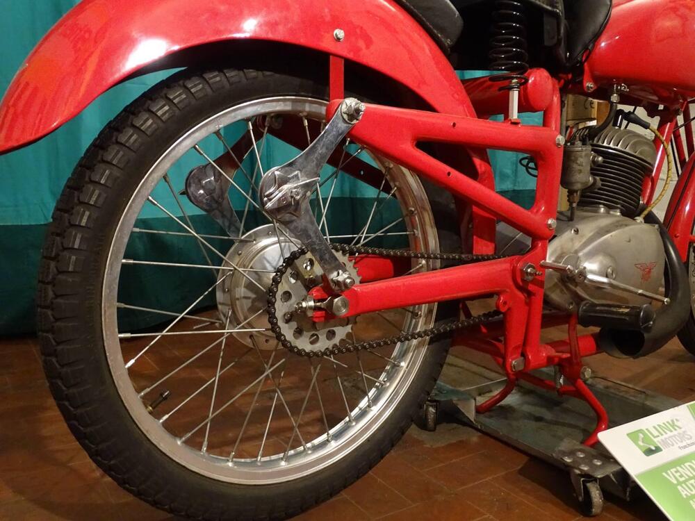 C.M. 125 Competizione (13)