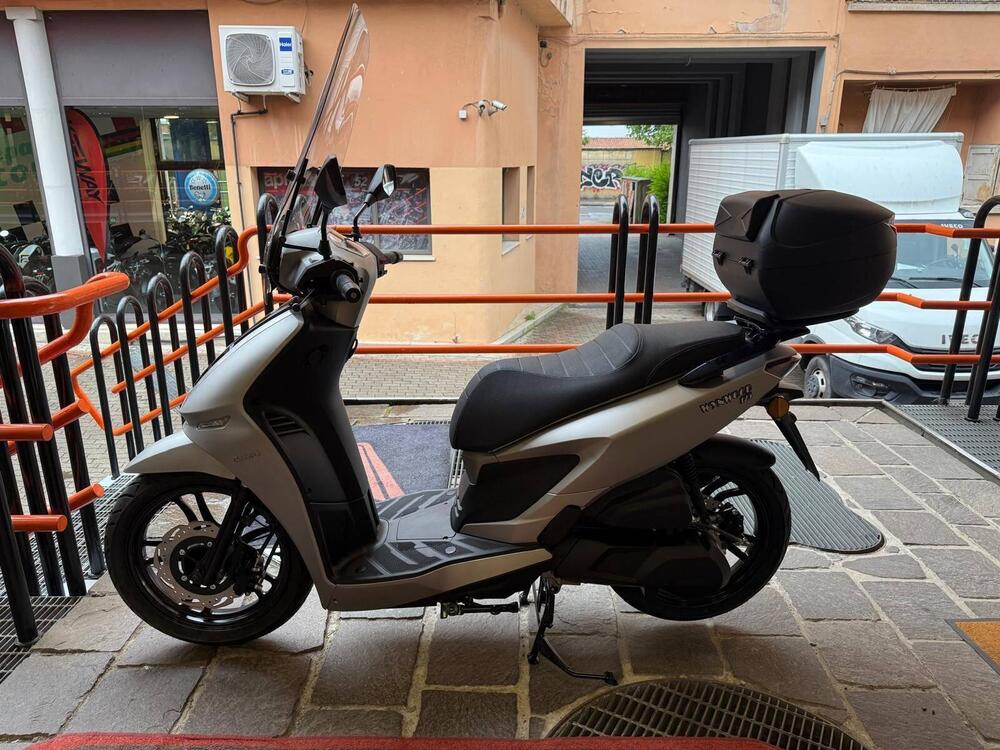 Um Italia Wynwood 125 (2025 - 26) (2)