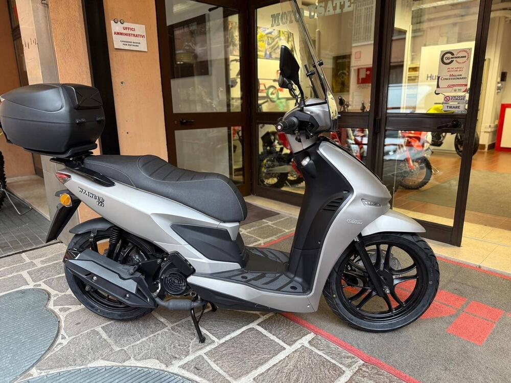 Um Italia Wynwood 125 (2025 - 26)