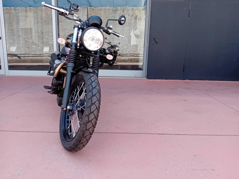 Triumph Scrambler 900 Icon Edition (2025 - 26) (5)