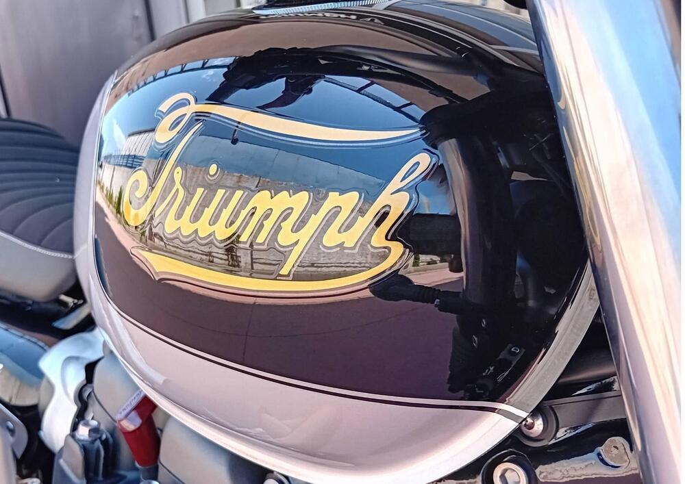 Triumph Scrambler 900 Icon Edition (2025 - 26) (15)