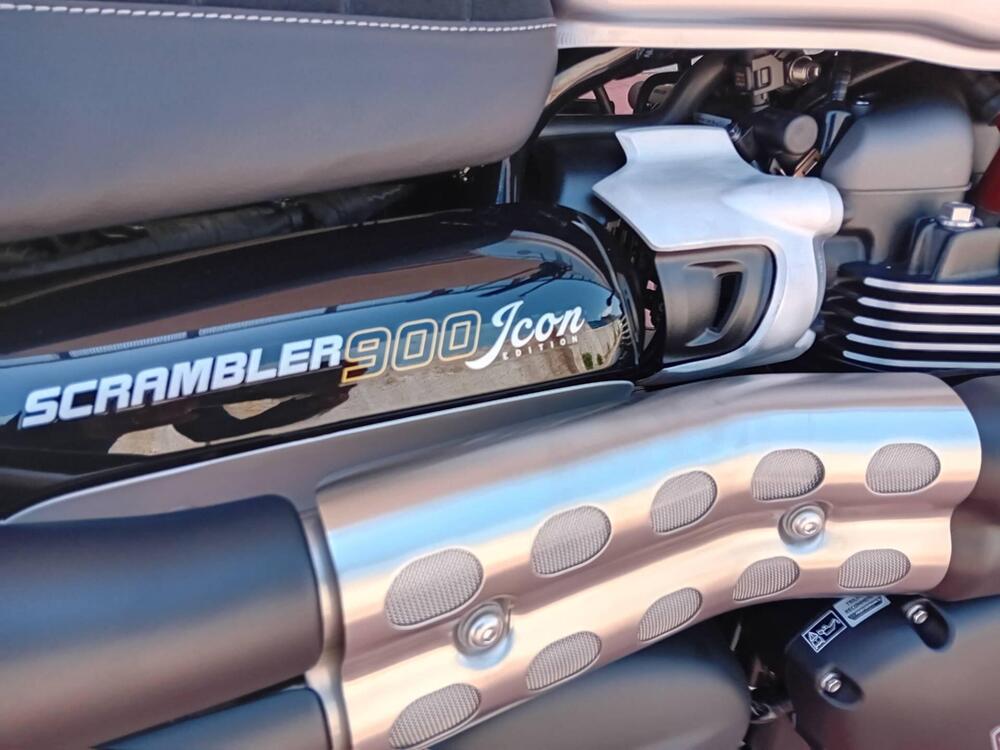 Triumph Scrambler 900 Icon Edition (2025 - 26) (16)