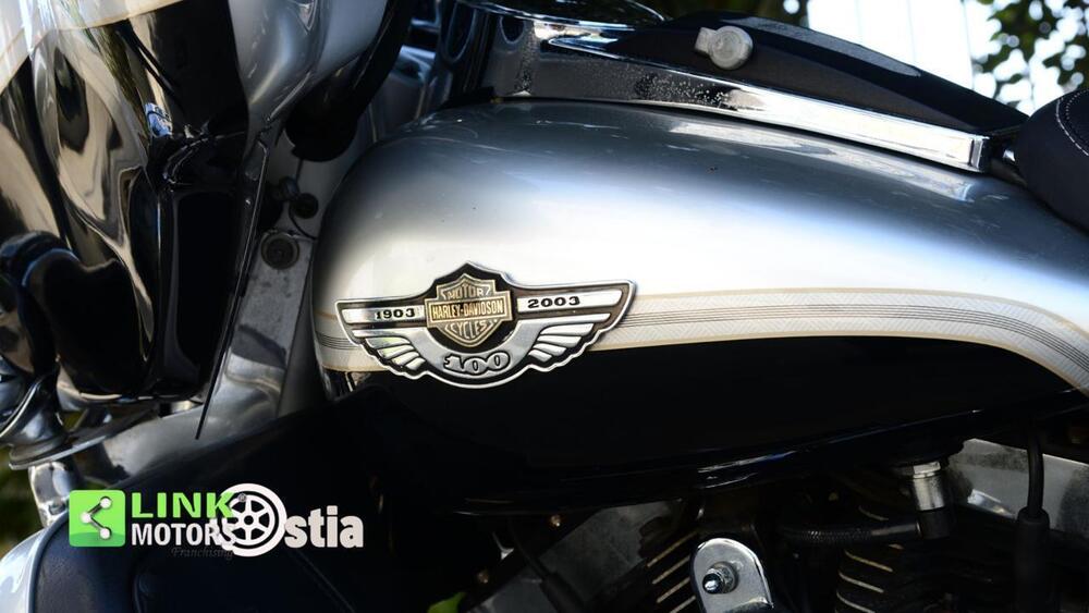 Harley-Davidson 1450 Electra Glide Ultra Classic (2003 - 05) - FLHTCUI (15)