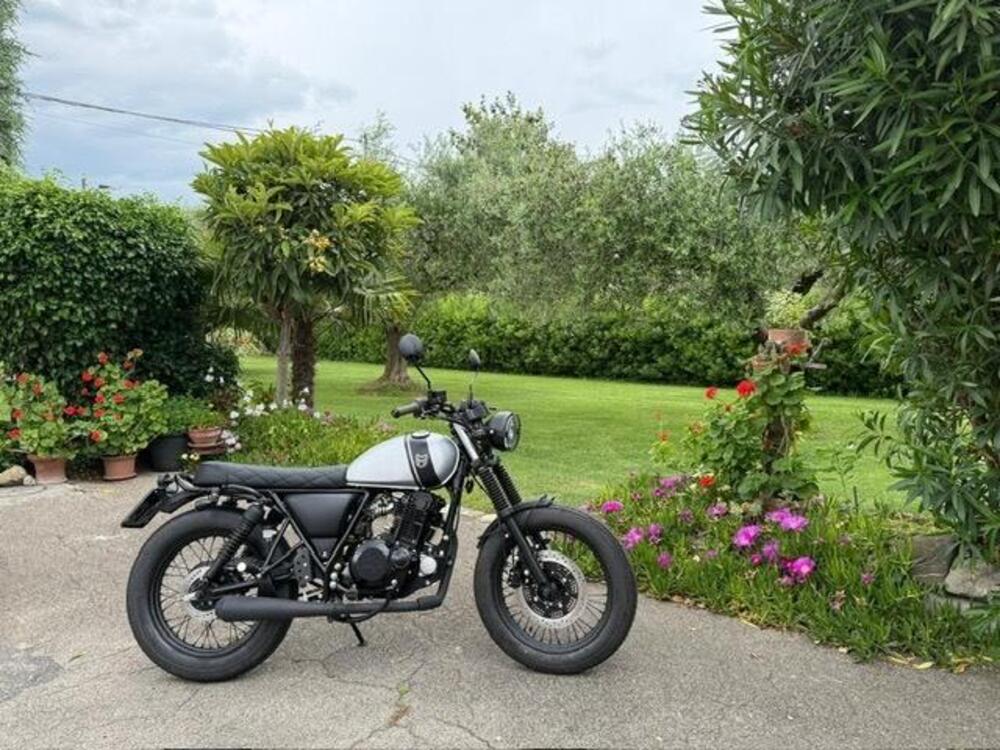 Mutt Motorcycles Mongrel 250 (2021 - 25) (8)