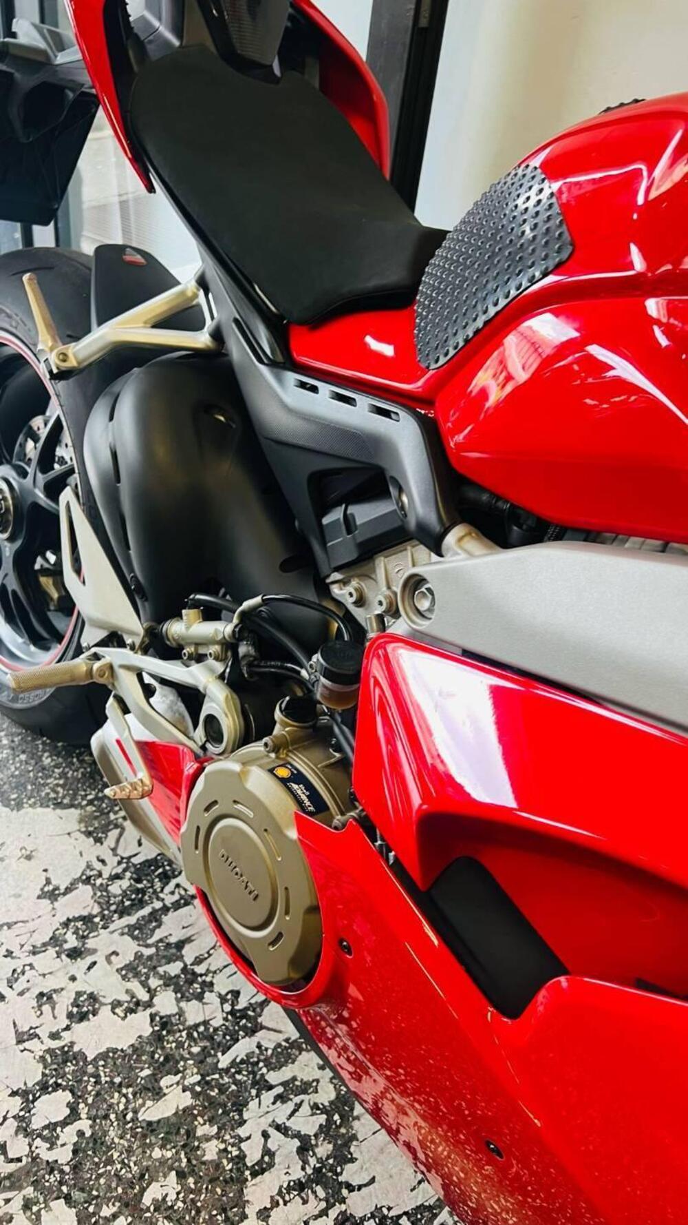 Ducati Panigale V4 S 1100 (2018 - 19) (10)