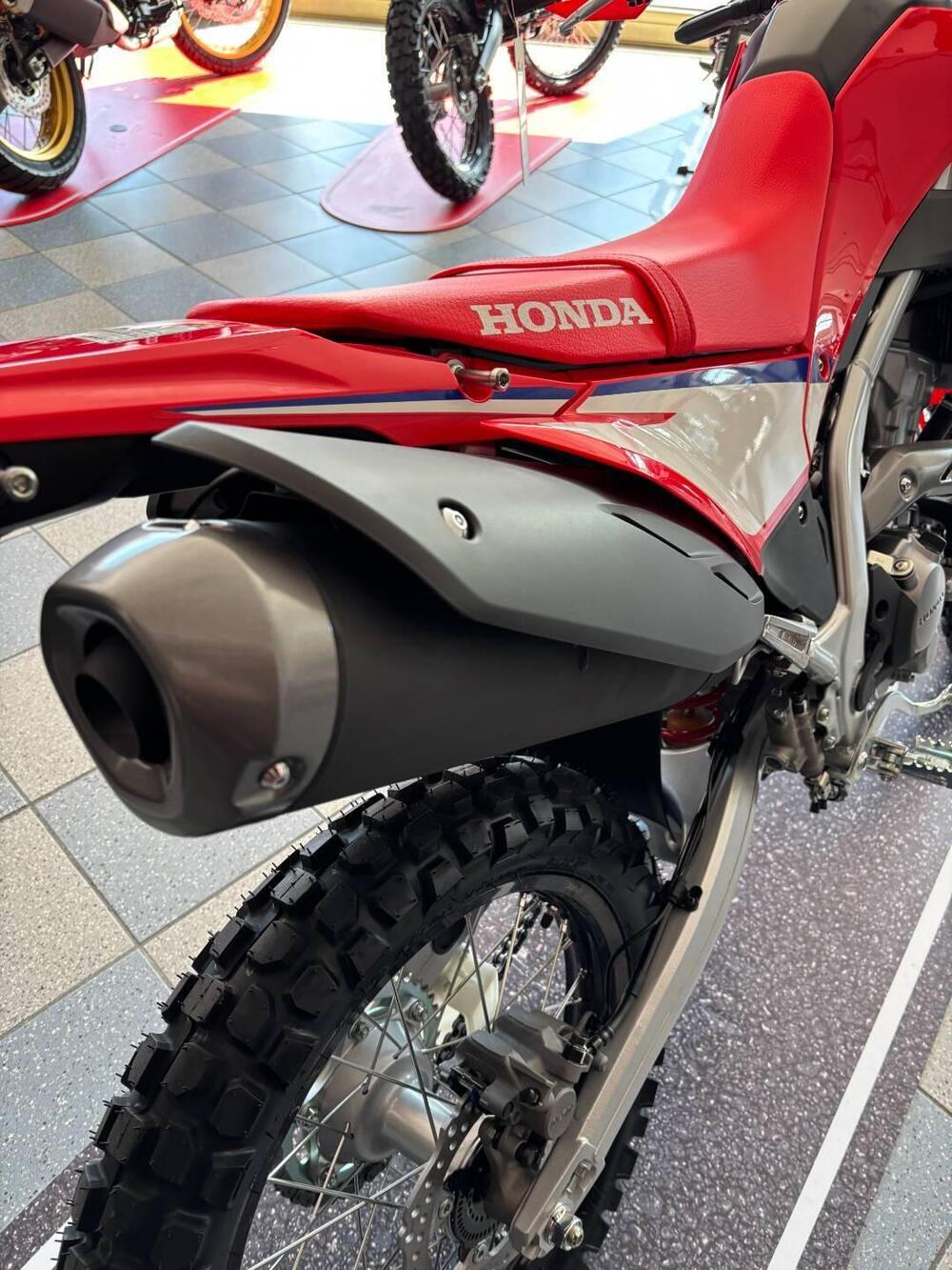 Honda CRF 300 L (2025) (6)