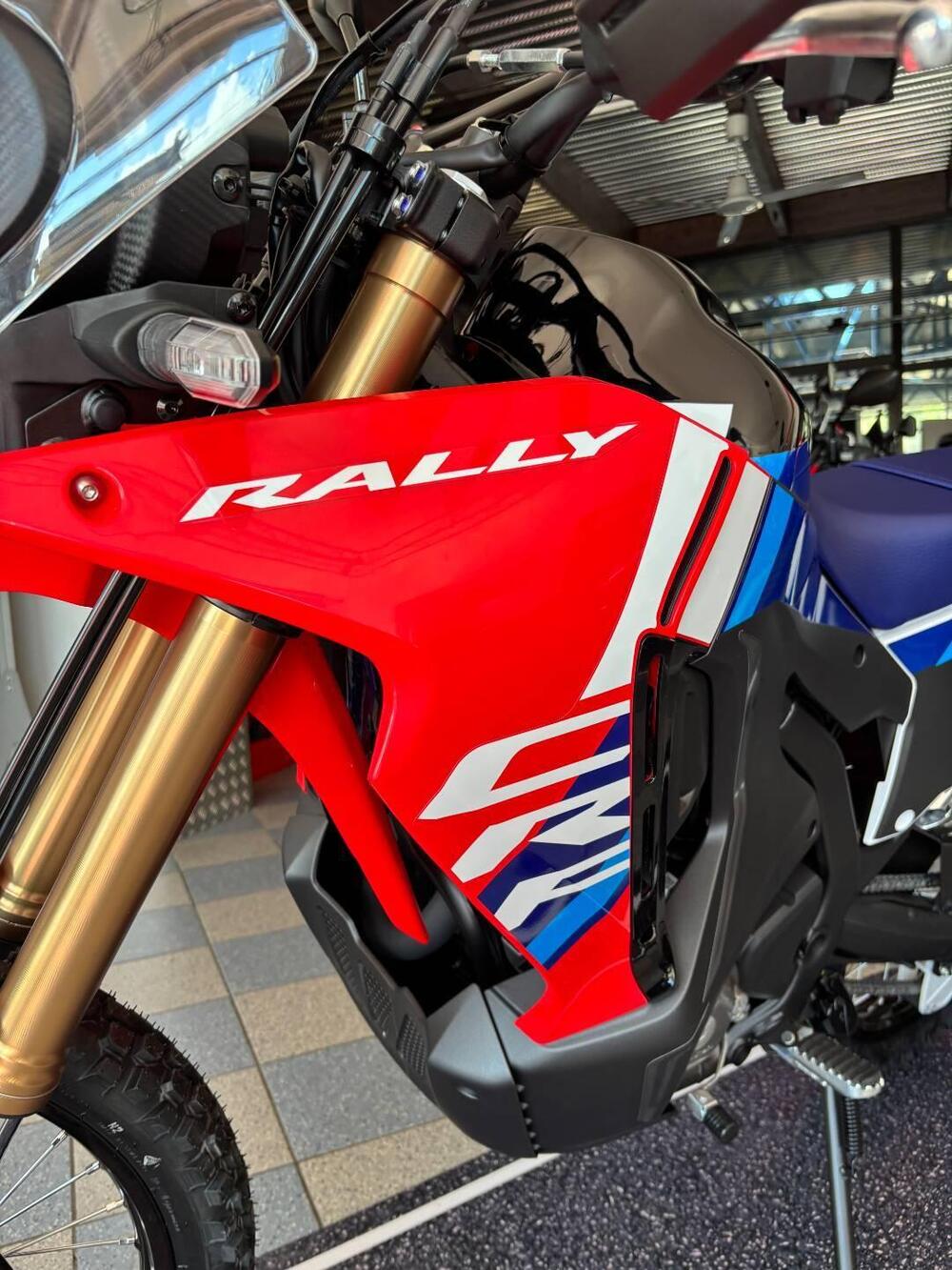Honda CRF 300 Rally (2025) (4)