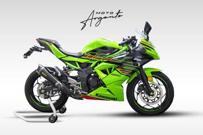 Kawasaki Ninja 125 (2021 - 24) usata
