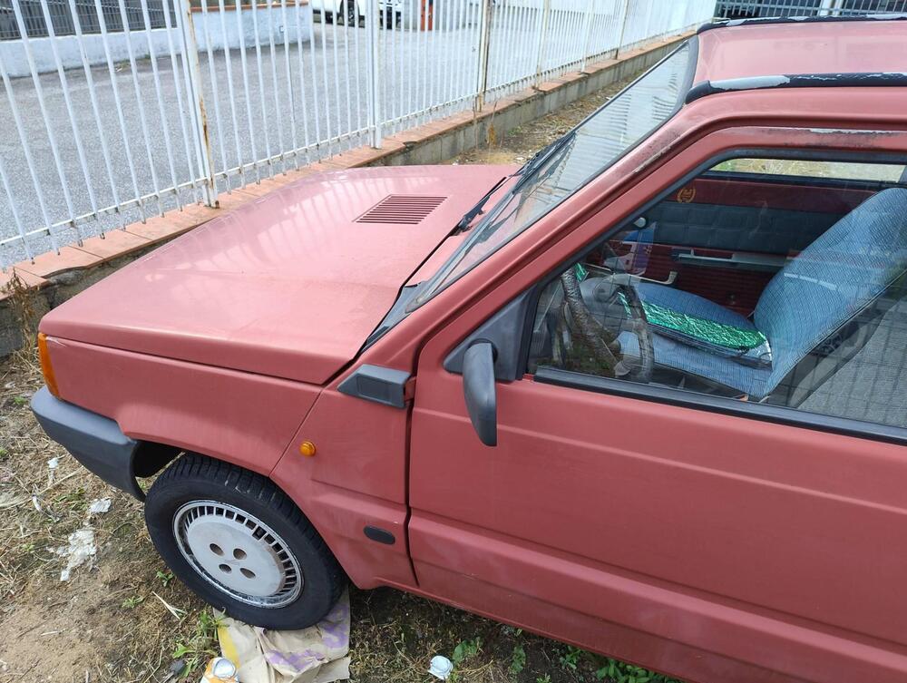 Fiat Panda Young d'epoca a Pistoia (6)