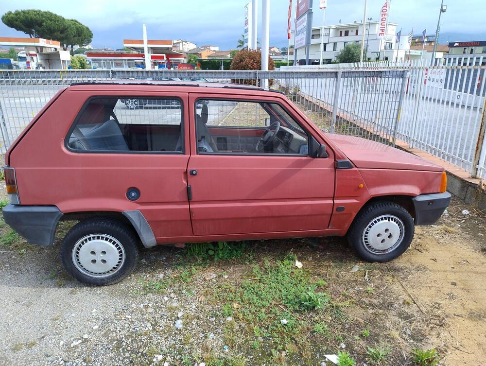 Fiat Panda Young d'epoca a Pistoia (8)