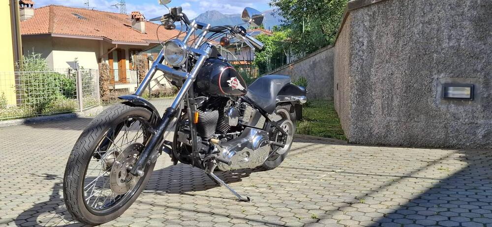 Harley-Davidson 1340 Custom (1989 - 98) (3)