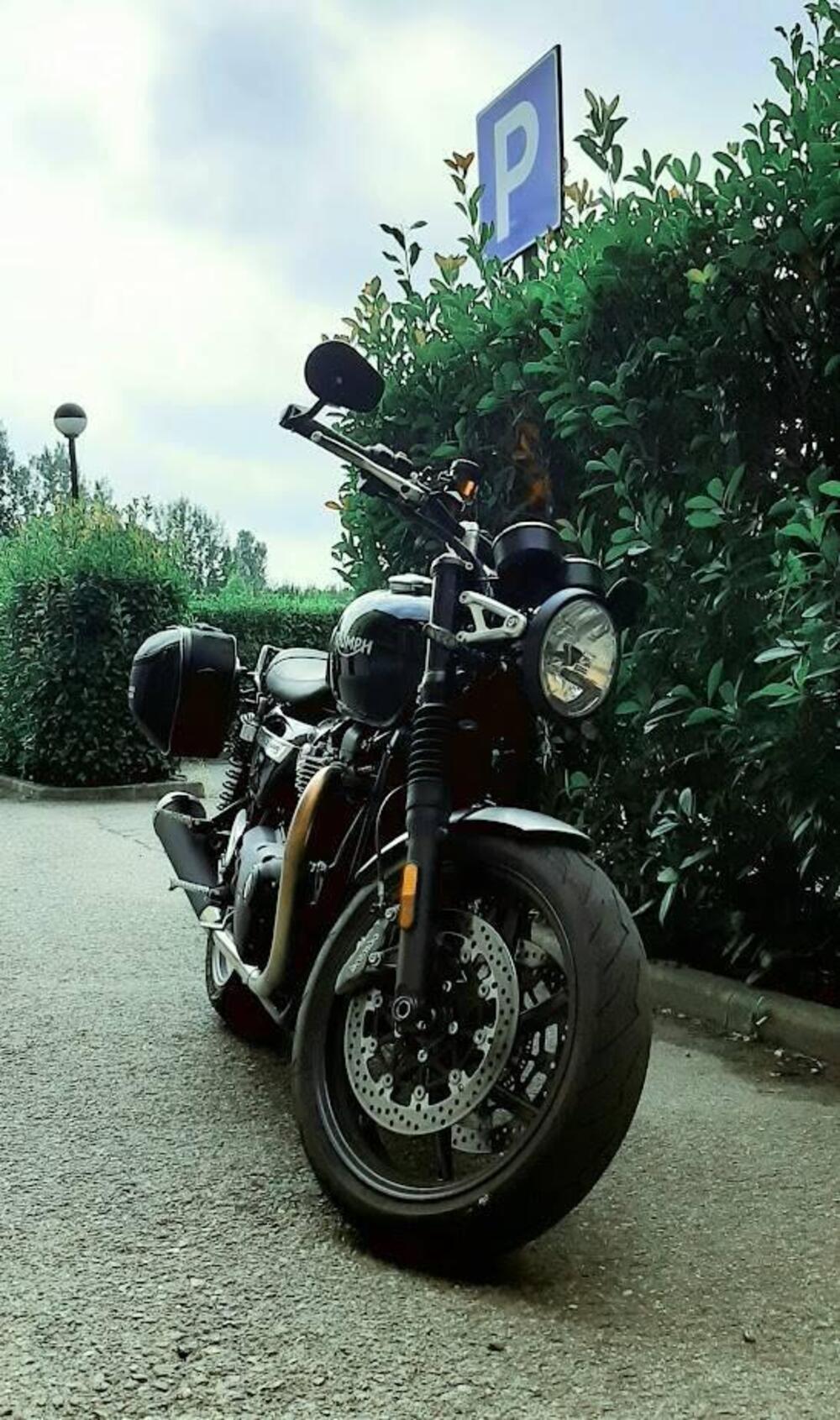 Triumph Speed Twin 1200 (2019 - 20) (2)