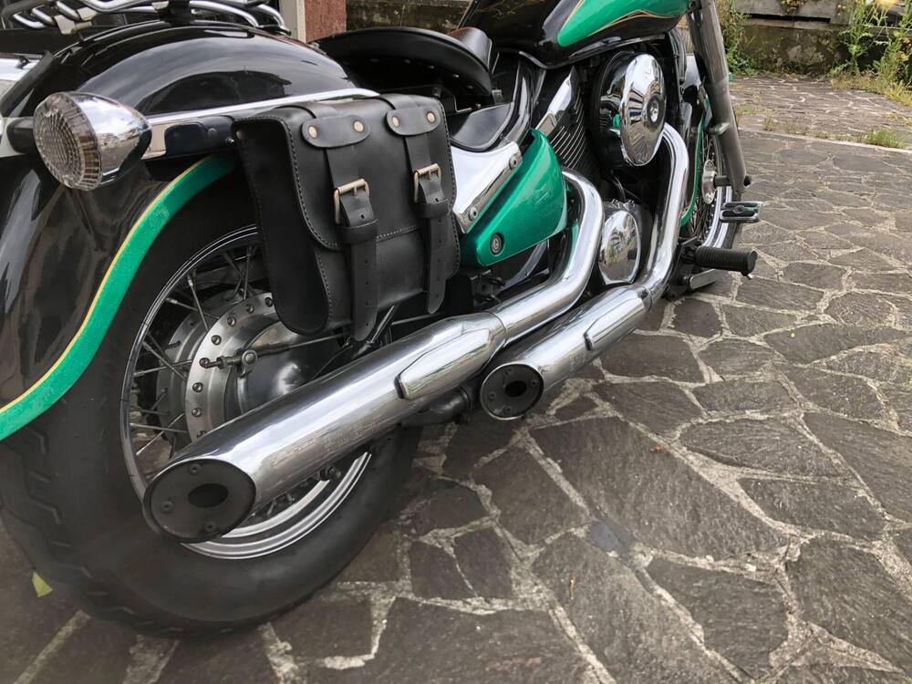 Kawasaki VN 800 Classic (2001 - 06) (12)