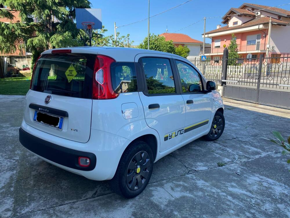 Fiat Panda usata a Torino (4)
