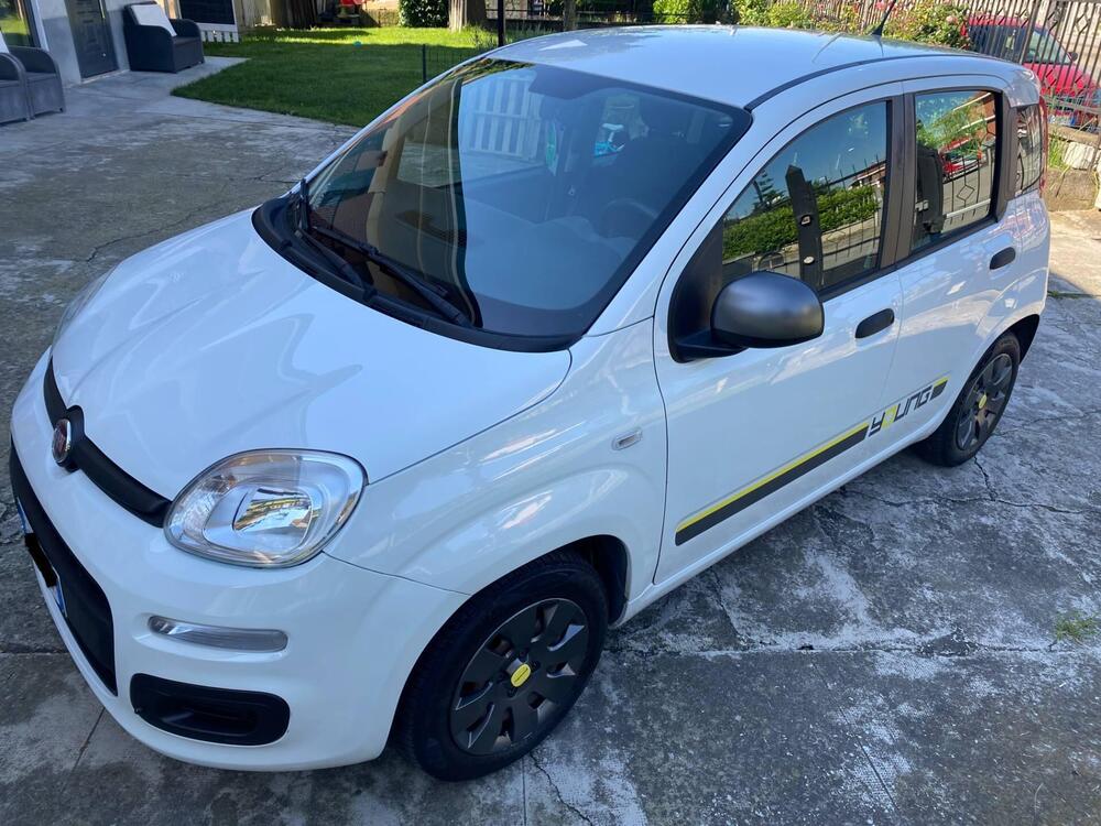 Fiat Panda usata a Torino (8)