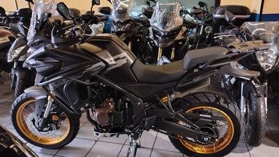 Voge Valico 625DSX (2025) nuova