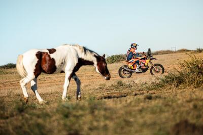 Rally-Raid. South African Safari Rally. Interrogativi. Daniel Sanders sta riscrivendo la storia? E Lategan (Toyota)? [VIDEO]