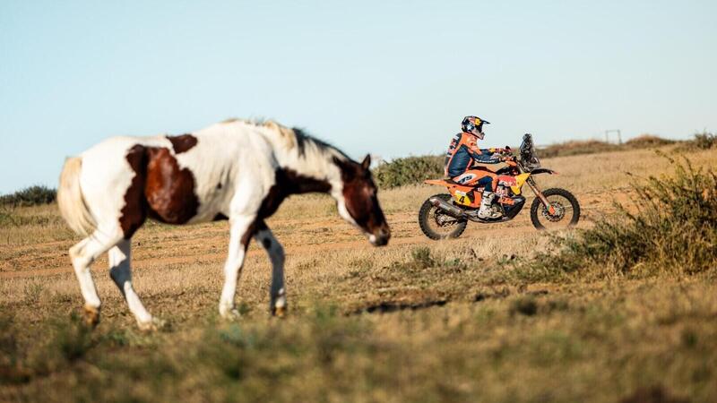 Rally-Raid. South African Safari Rally. Interrogativi. Daniel Sanders sta riscrivendo la storia? E Lategan (Toyota)? [VIDEO]