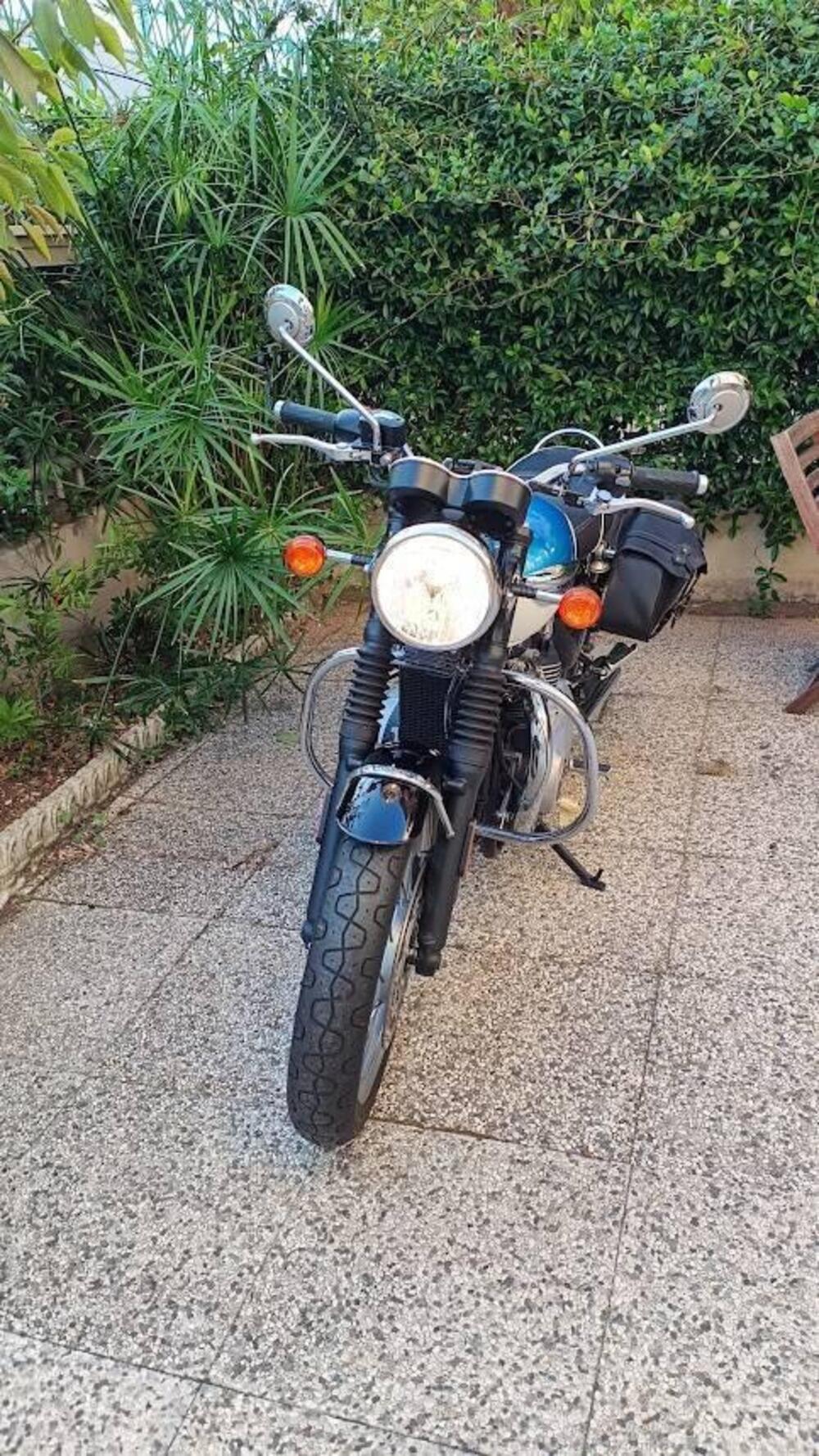 Triumph Bonneville T100 (2017 - 20) (3)