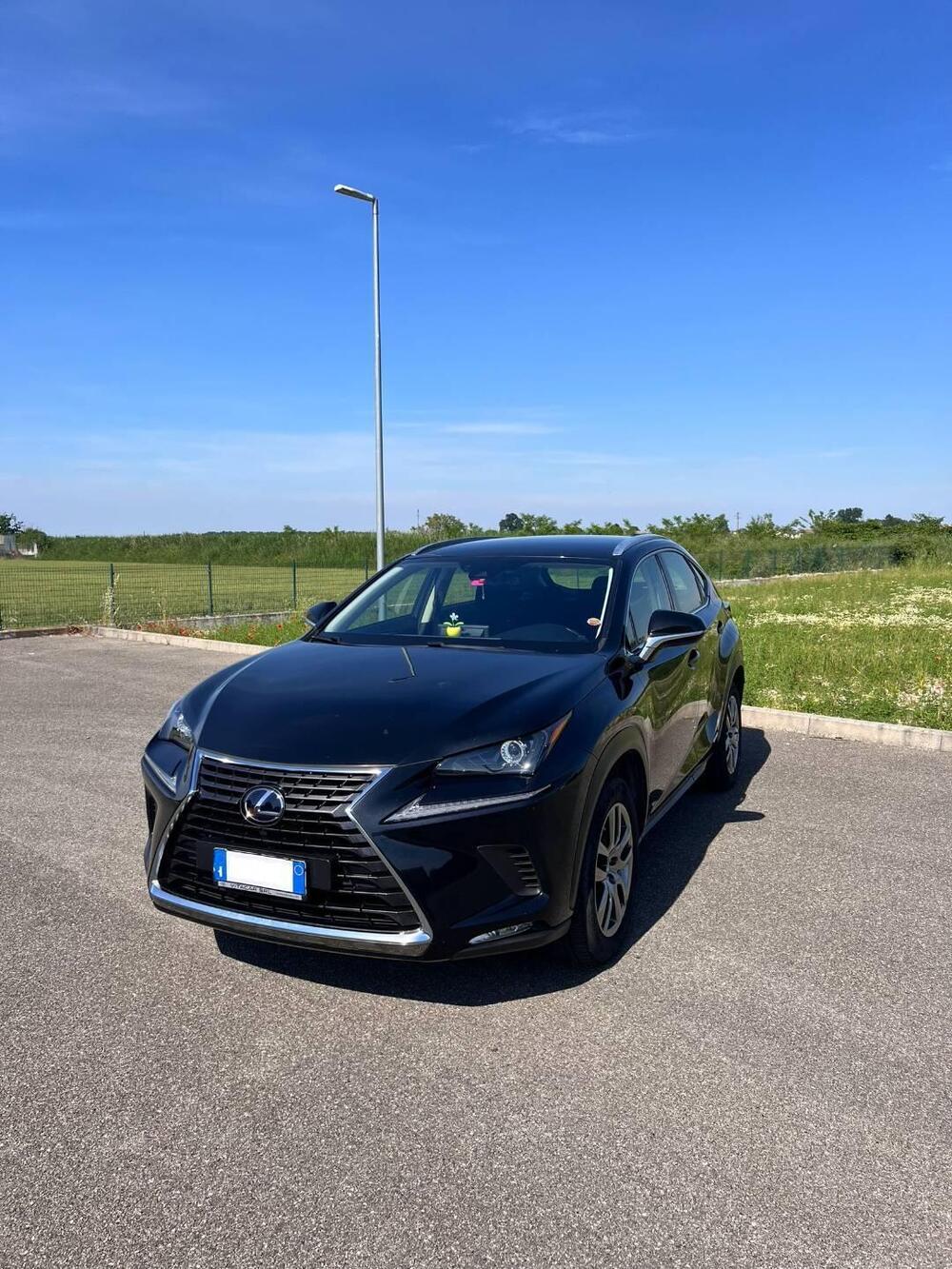 Lexus NX usata a Pavia