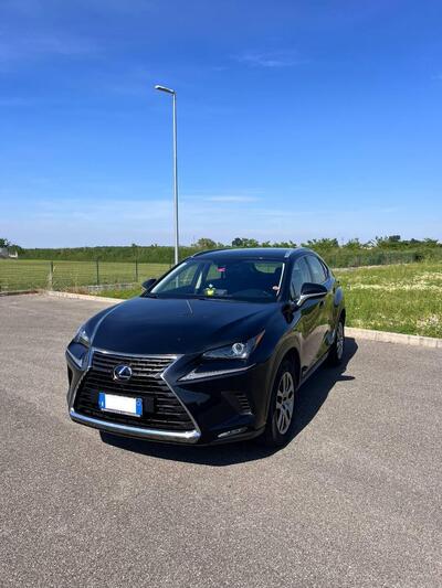Lexus NX Hybrid 4WD Executive del 2021 usata a Pinarolo Po