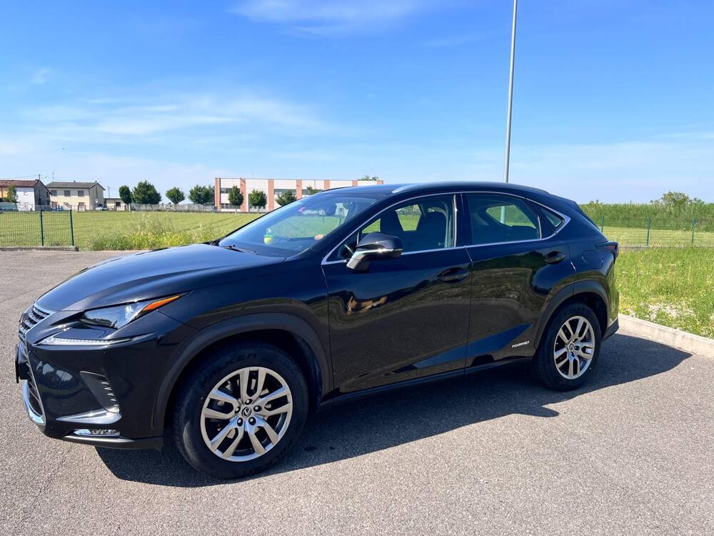 Lexus NX usata a Pavia (2)