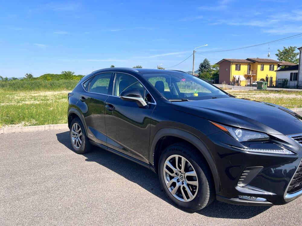 Lexus NX usata a Pavia (3)
