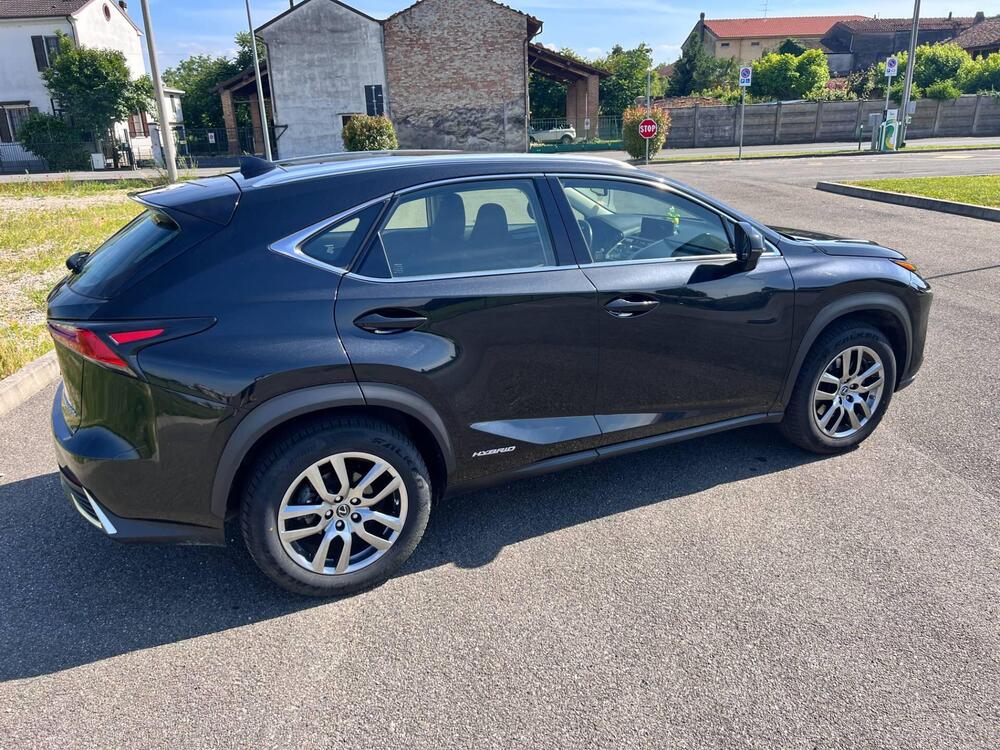 Lexus NX usata a Pavia (4)
