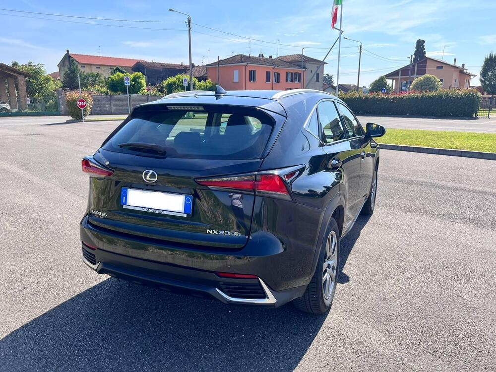 Lexus NX usata a Pavia (5)