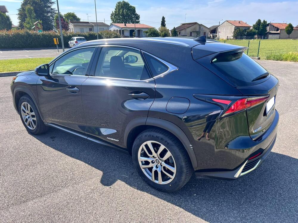 Lexus NX usata a Pavia (6)