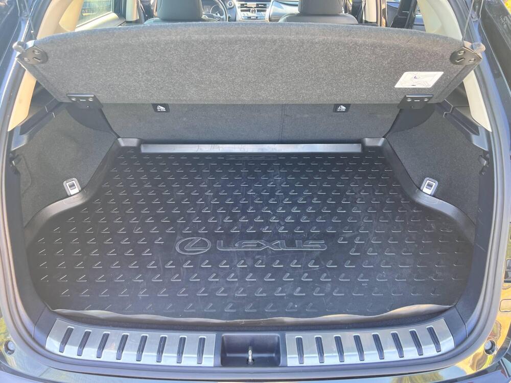 Lexus NX usata a Pavia (9)