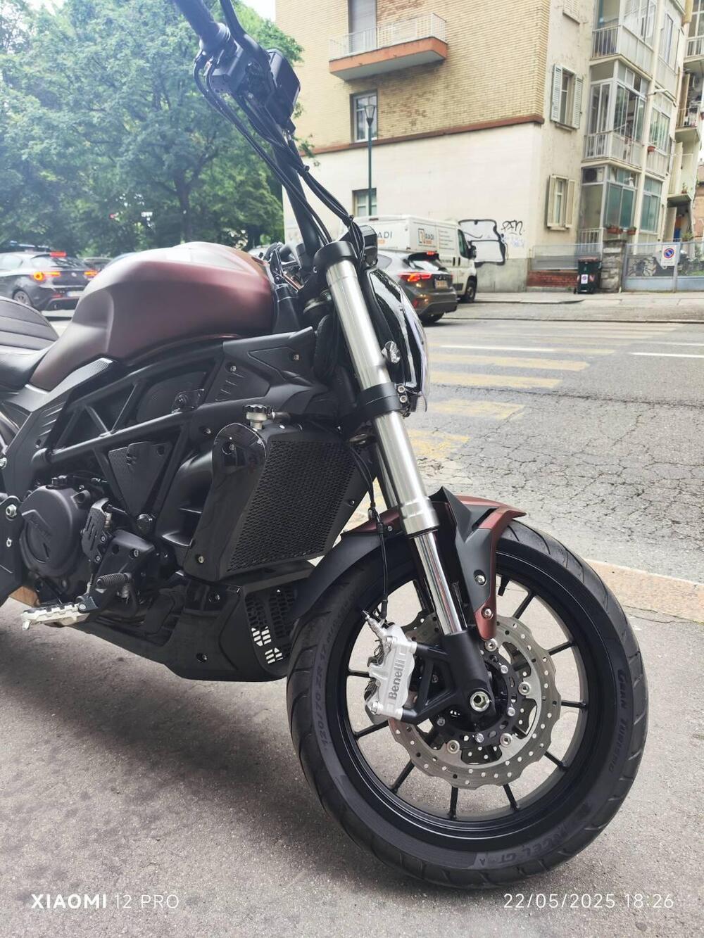 Benelli 502 C (2021 - 25) (13)