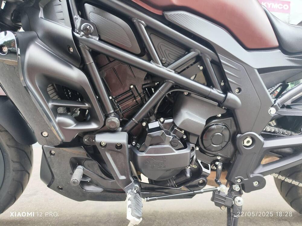 Benelli 502 C (2021 - 25) (18)