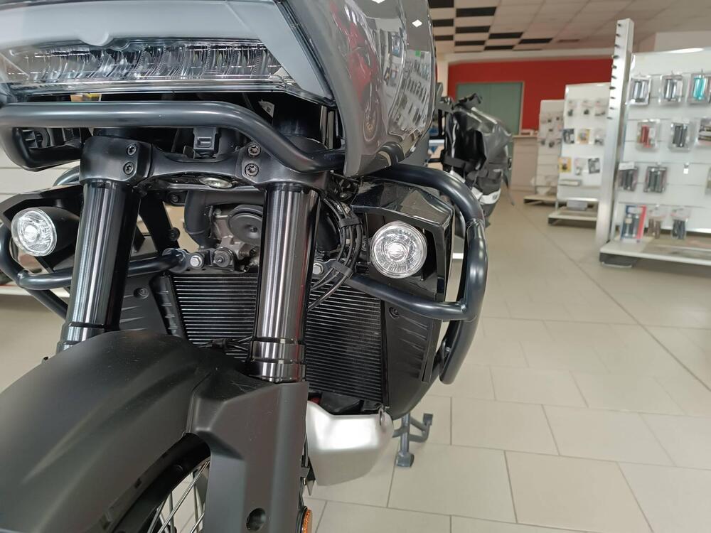 Harley-Davidson Pan America 1250 Special (2020 - 25) (10)