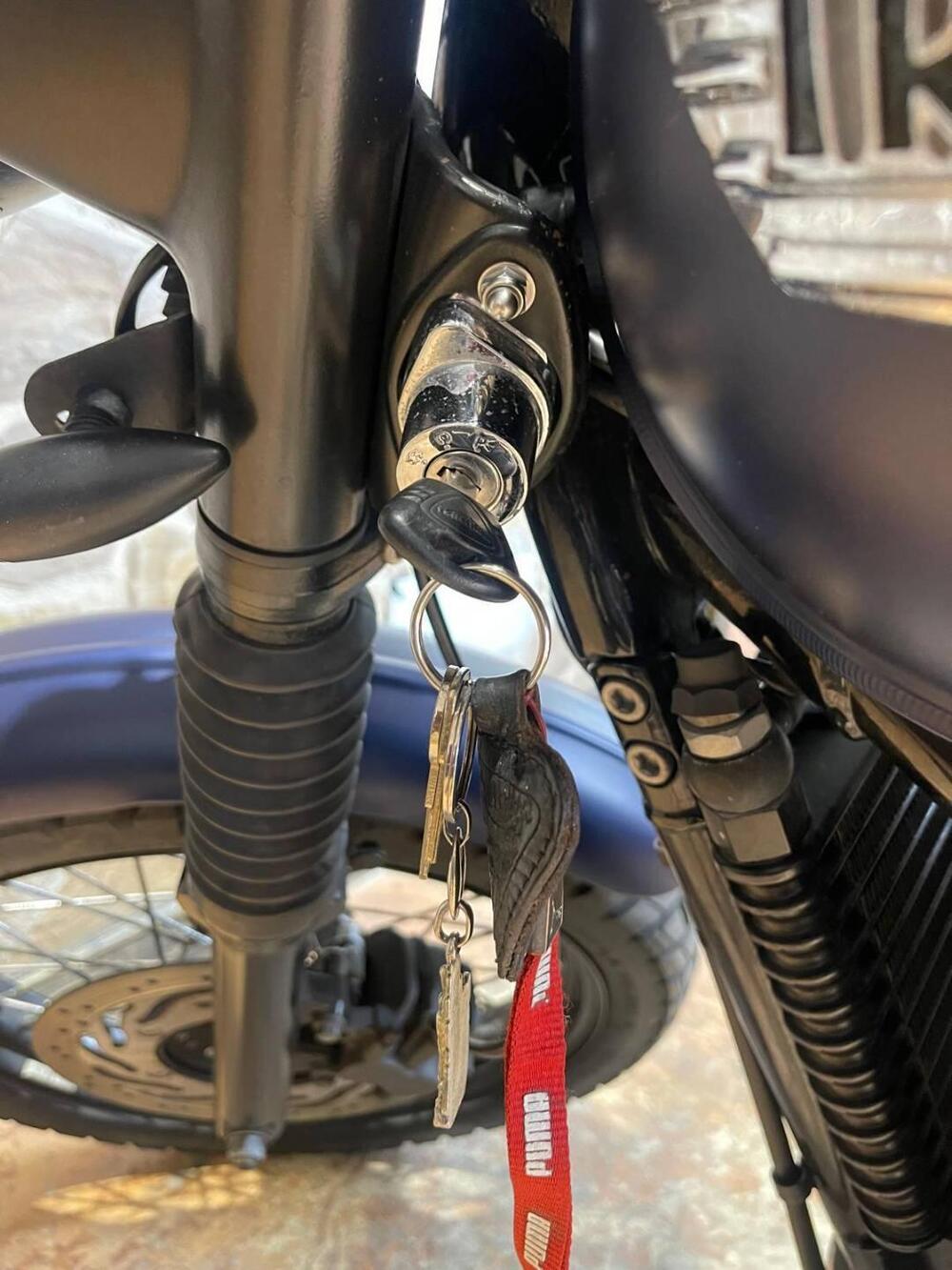 Triumph Scrambler (2006 - 17) (16)