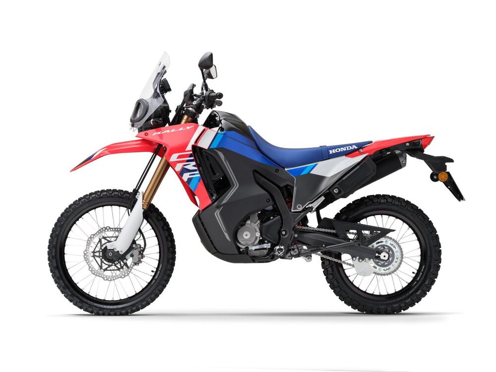 Honda CRF 300 Rally (2025) (4)