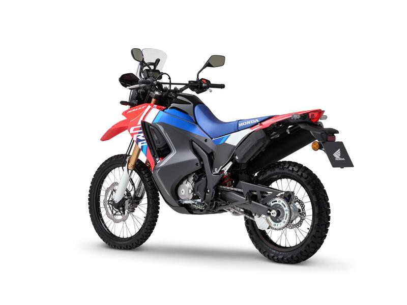 Honda CRF 300 Rally (2025 - 26) (6)