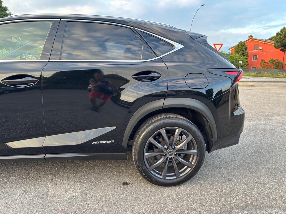 Lexus NX usata a Brescia (3)