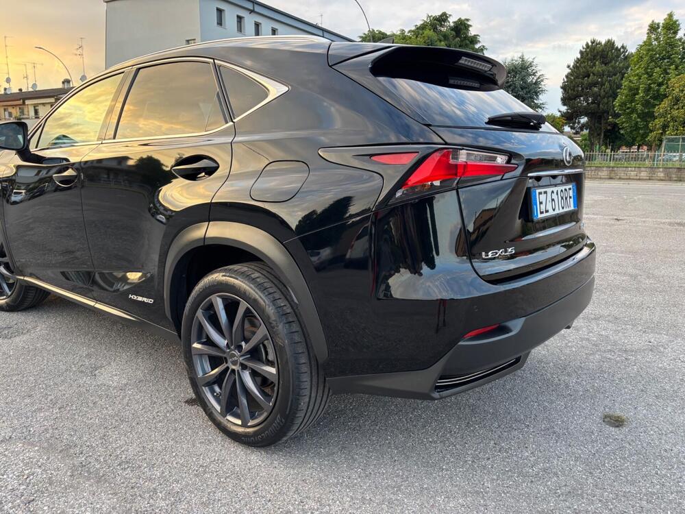 Lexus NX usata a Brescia (4)