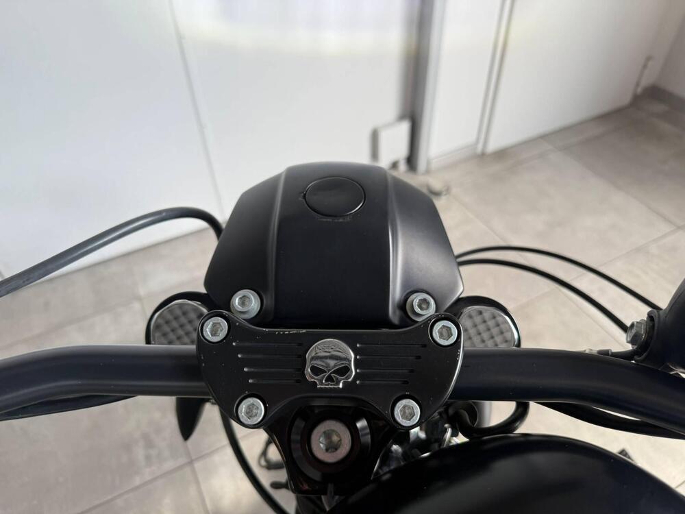 Harley-Davidson 883 Iron (2017 - 20) - XL 883N (16)